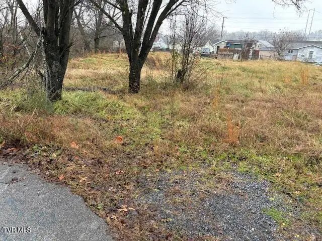 221 Cedar Street, Kingsport, TN 37660 - #3