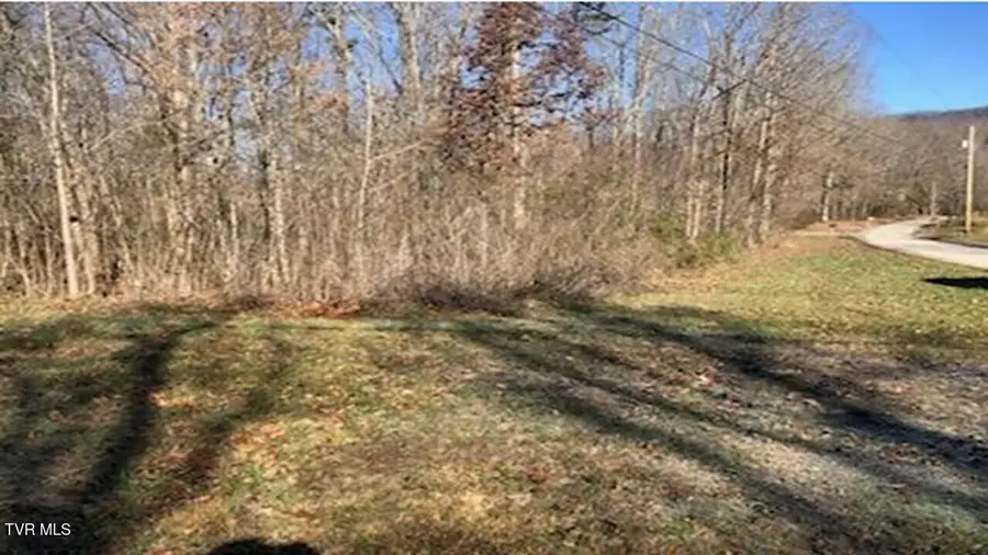 25 Johnson Hollow Lane, Greeneville, TN 37745 - #2