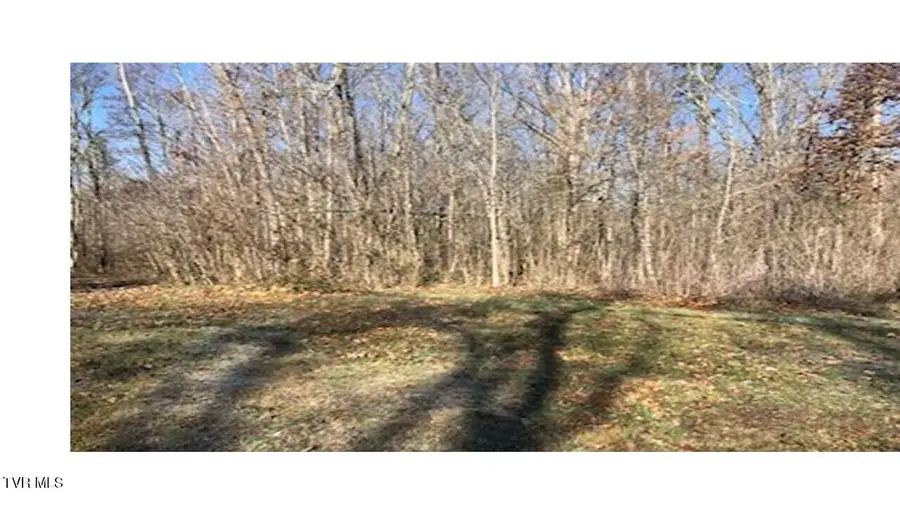 25 Johnson Hollow Lane, Greeneville, TN 37745 - #3