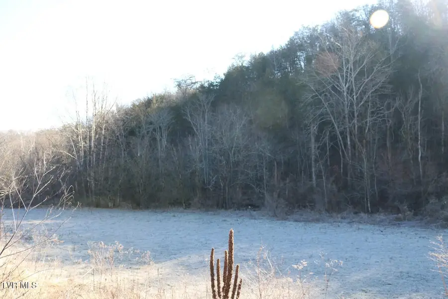 530 War Creek Road, Eidson, TN 37731 - #3