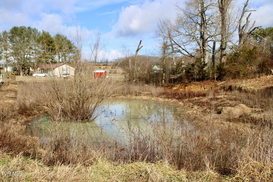 5517 Poplar Springs Road, Greeneville, TN 37743 - #2