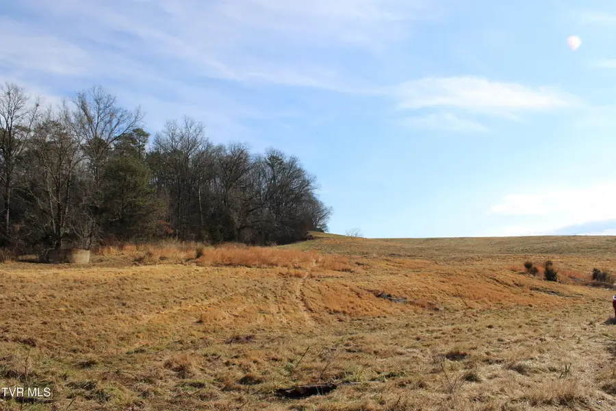 5517 Poplar Springs Road, Greeneville, TN 37743 - #3