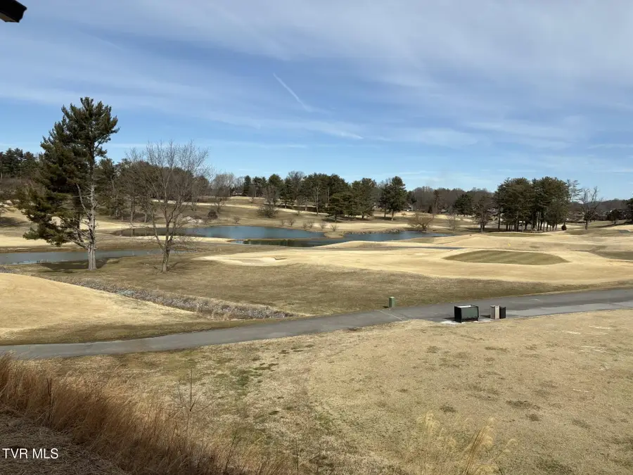 380 Monroe Drive, Bristol, TN 37620 - #2