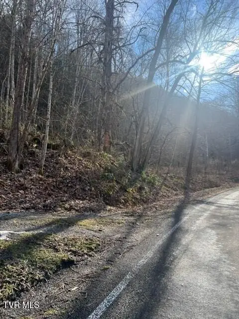 Near 2995 State Route 606, Keokee, VA 24265 - #3