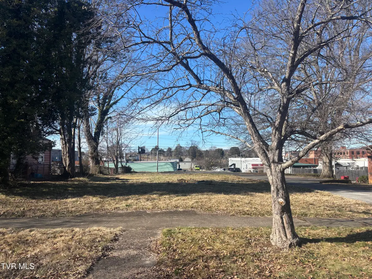 416 West Maple Street, Johnson City, TN 37604 - #1