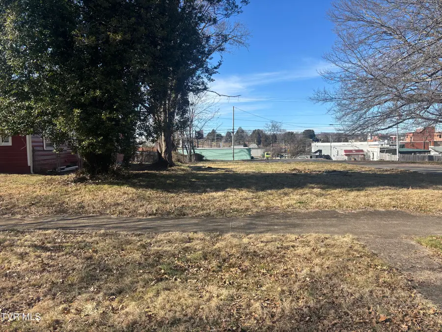 416 West Maple Street, Johnson City, TN 37604 - #2