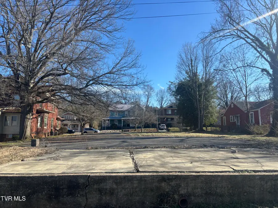 416 West Maple Street, Johnson City, TN 37604 - #3