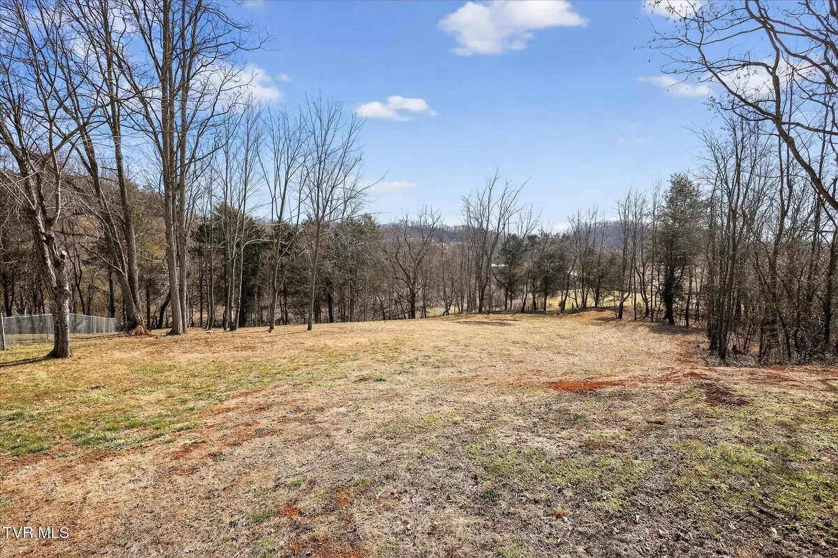 353 Valley Drive, Church Hill, TN 37642 - #1