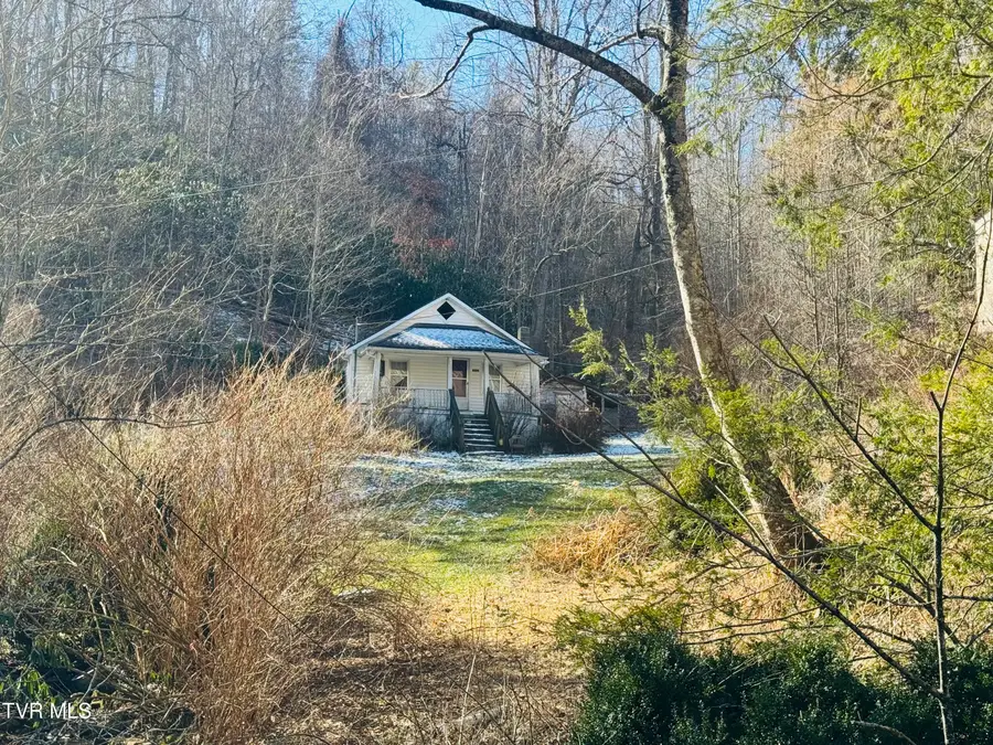220 Whitehead Hollow Road, Roan Mountain, TN 37687 - #2