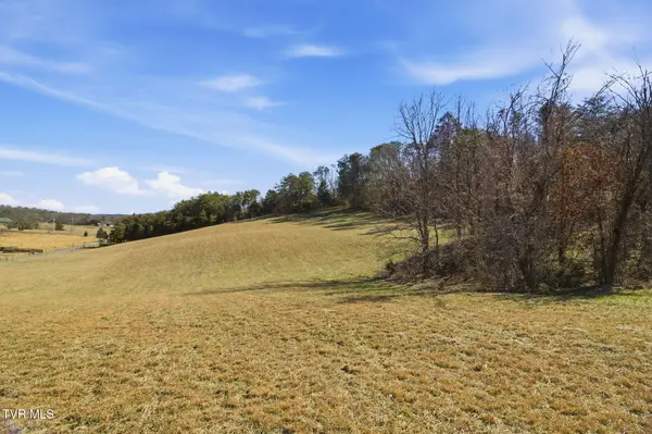1470 Snake Hollow Road, Greeneville, TN 37743