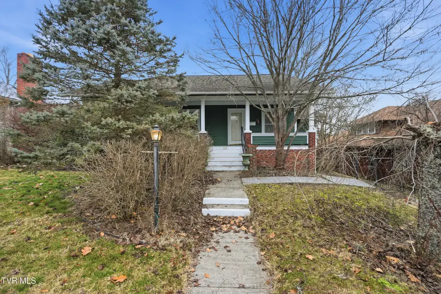 113 West 2nd Street, Big Stone Gap, VA 24219 - #2