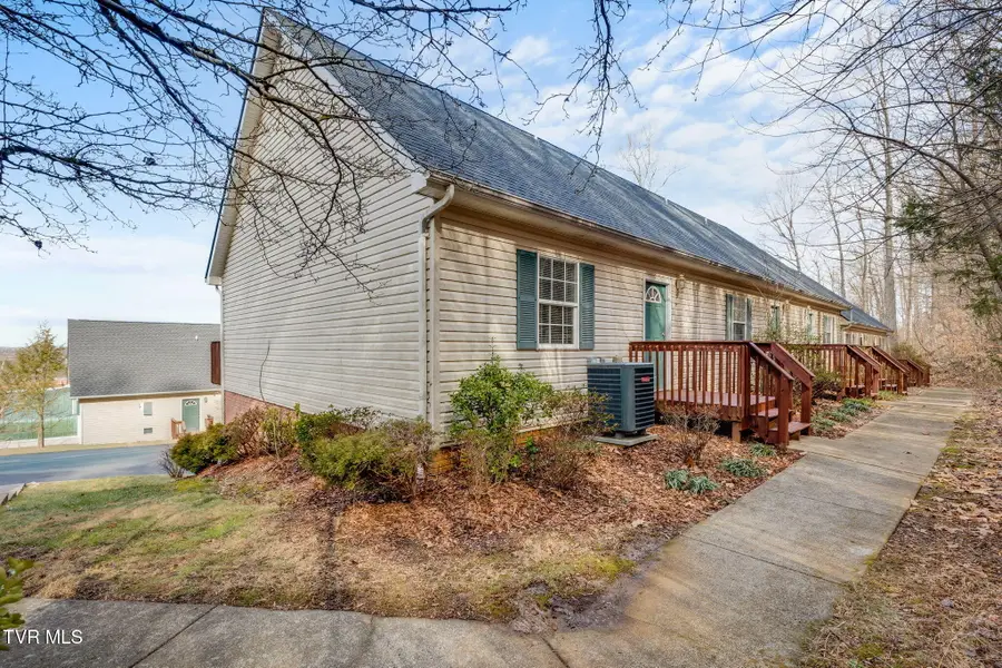 308 Car Mol Drive #14, Johnson City, TN 37601 - #3