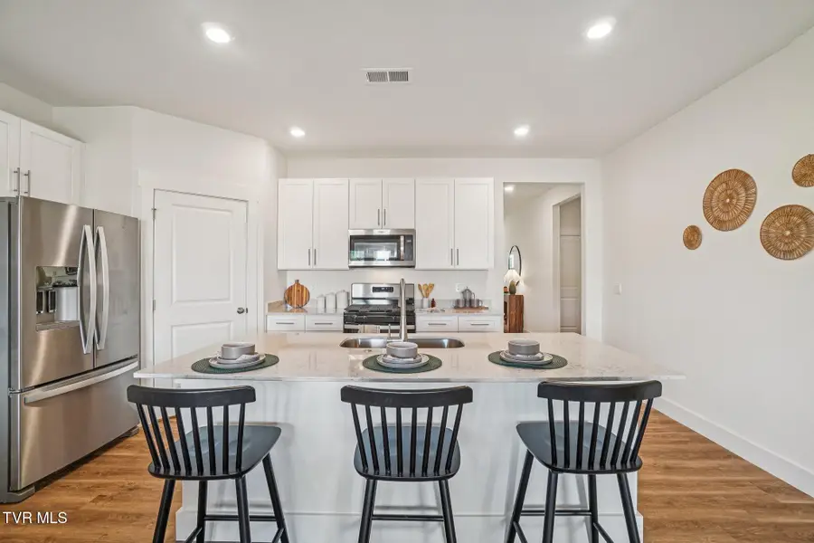 204 Artist Avenue, Johnson City, TN 37615 - #3