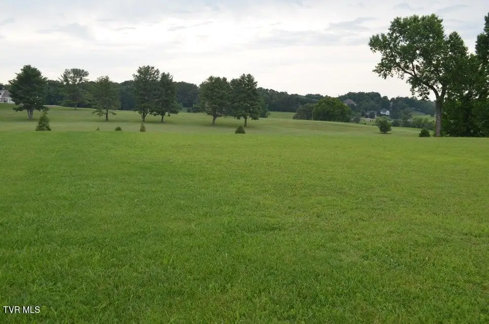 Lot 7 R Golf Villa Drive, Greeneville, TN 37743 - #1
