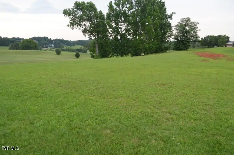 Lot 7 R Golf Villa Drive, Greeneville, TN 37743 - #3