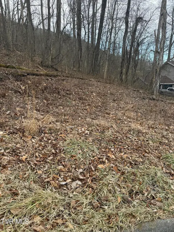 2016 Queensbury Court, Kingsport, TN 37660