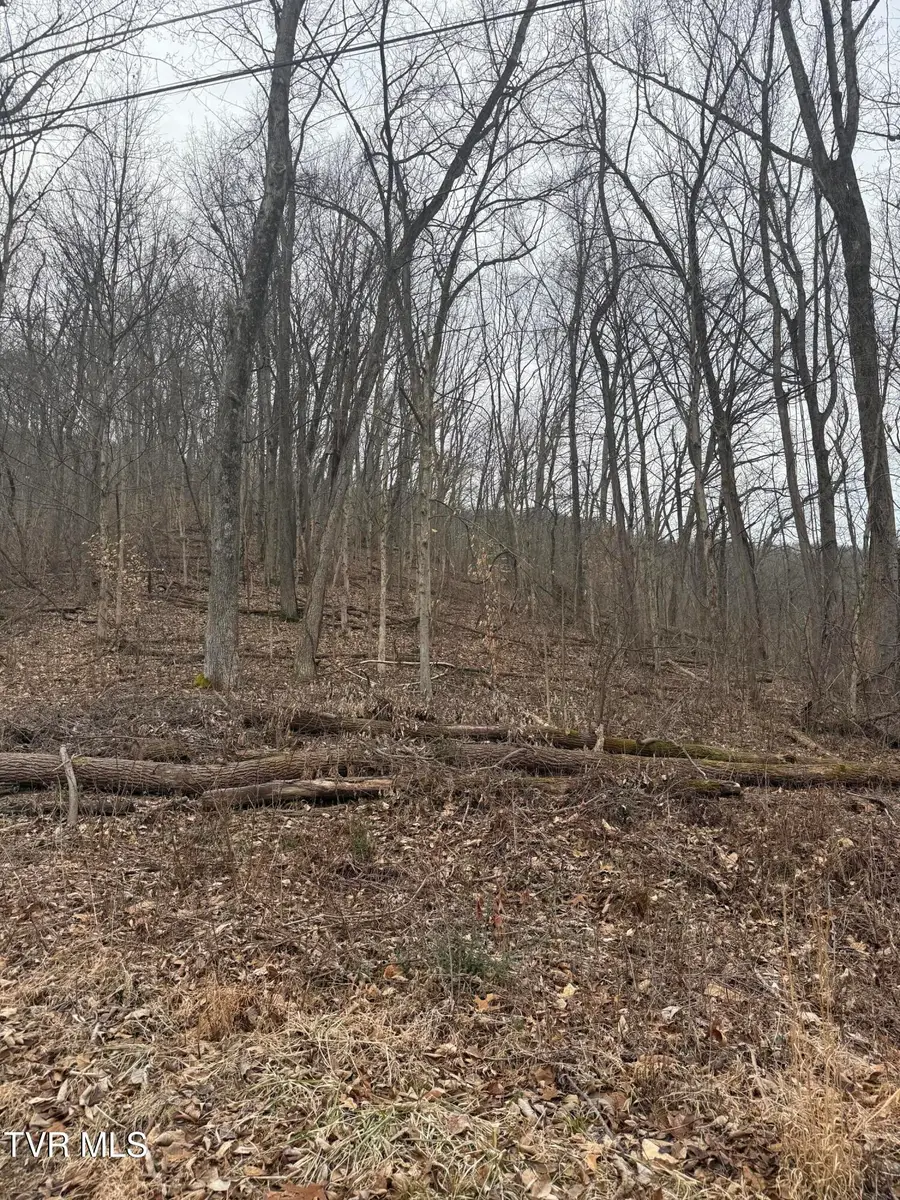 2016 Queensbury Court, Kingsport, TN 37660 - #3