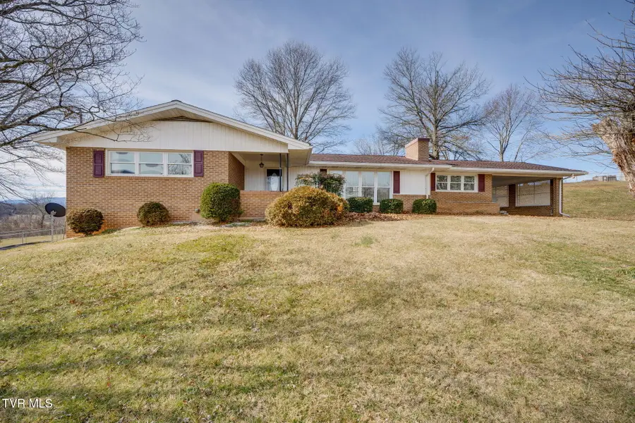 163 Cecil Gray Road, Jonesborough, TN 37659 - #2