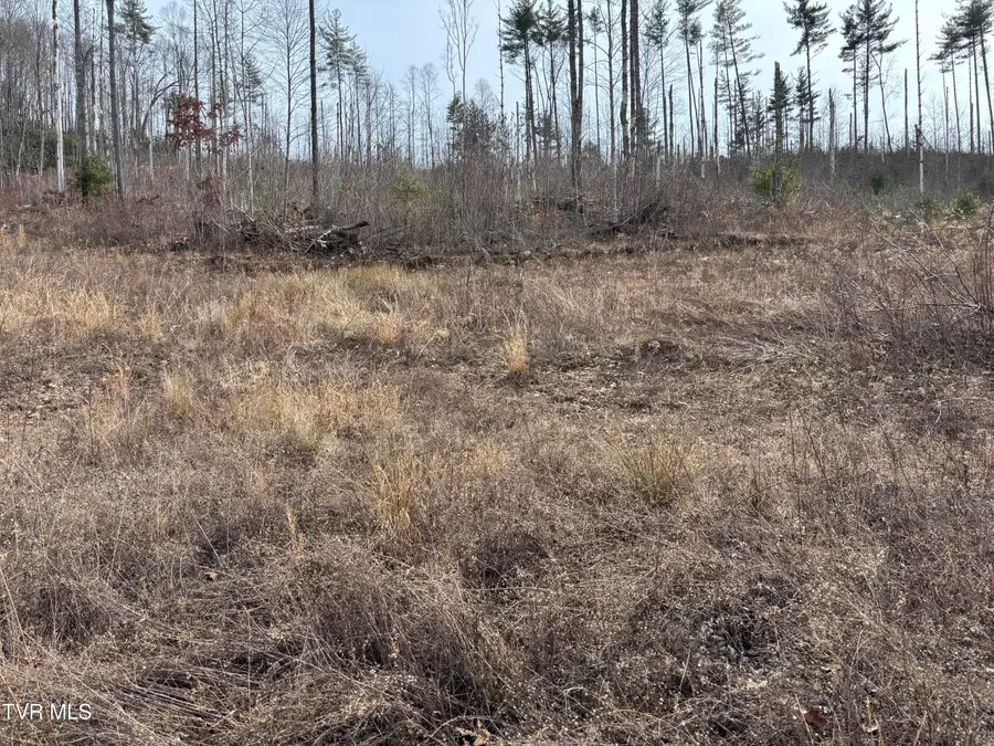 Tbd Pleasant Valley Road, Mountain City, TN 37683 - #2