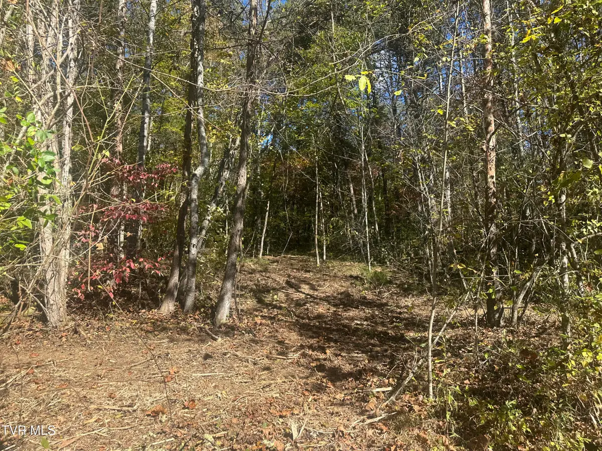 Lot 1 Butcher Valley Road, Rogersville, TN 37857 - #1