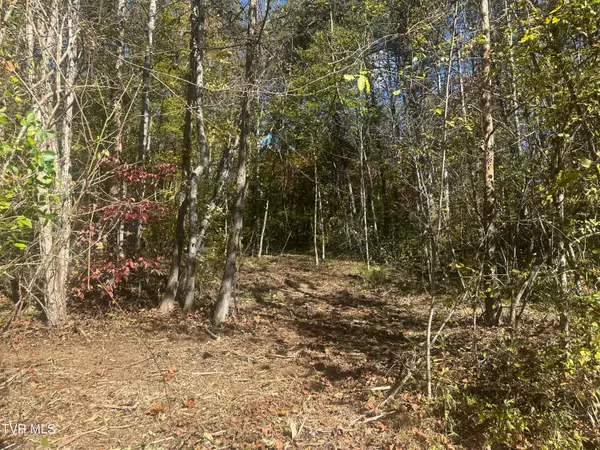 Lot 1 Butcher Valley Road, Rogersville, TN 37857