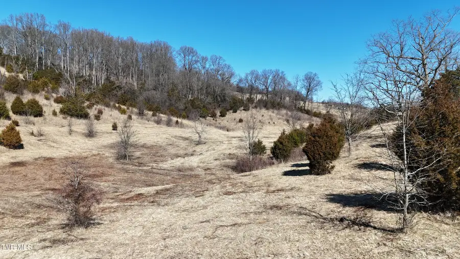 Tract 3 Methodist Ridge Road, Telford, TN 37690 - #2