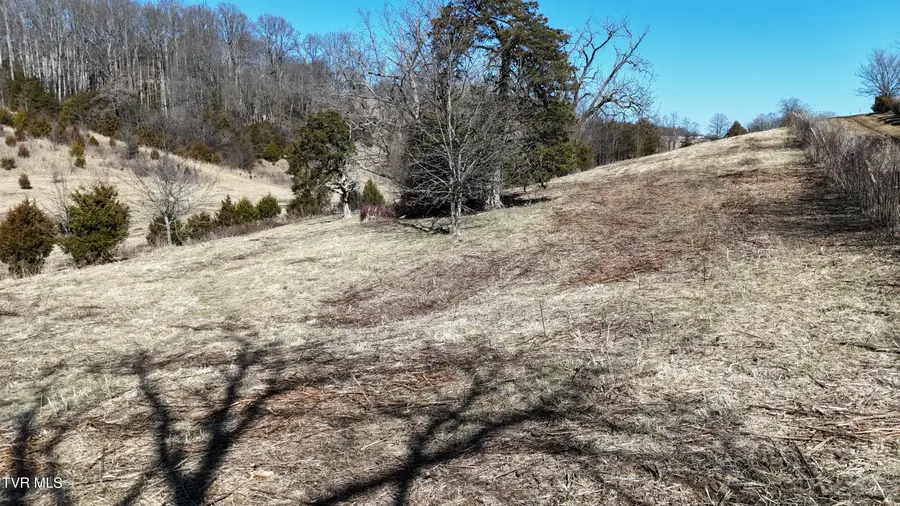 Tract 3 Methodist Ridge Road, Telford, TN 37690 - #3