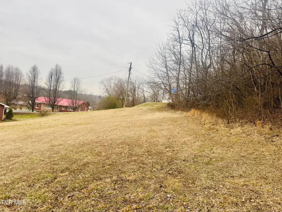 107 Ingram Street, Elizabethton, TN 37643 - #2