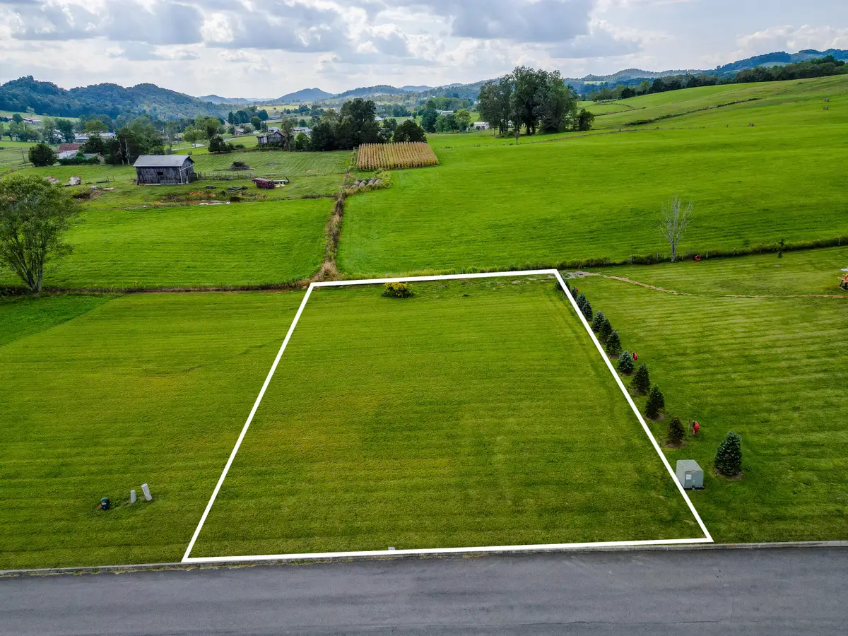Lot 42 Walnut Grove Drive, Church Hill, TN 37642 - #1