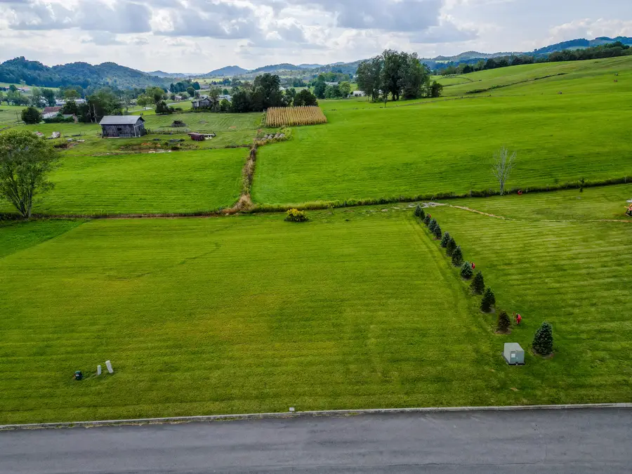 Lot 42 Walnut Grove Drive, Church Hill, TN 37642 - #3