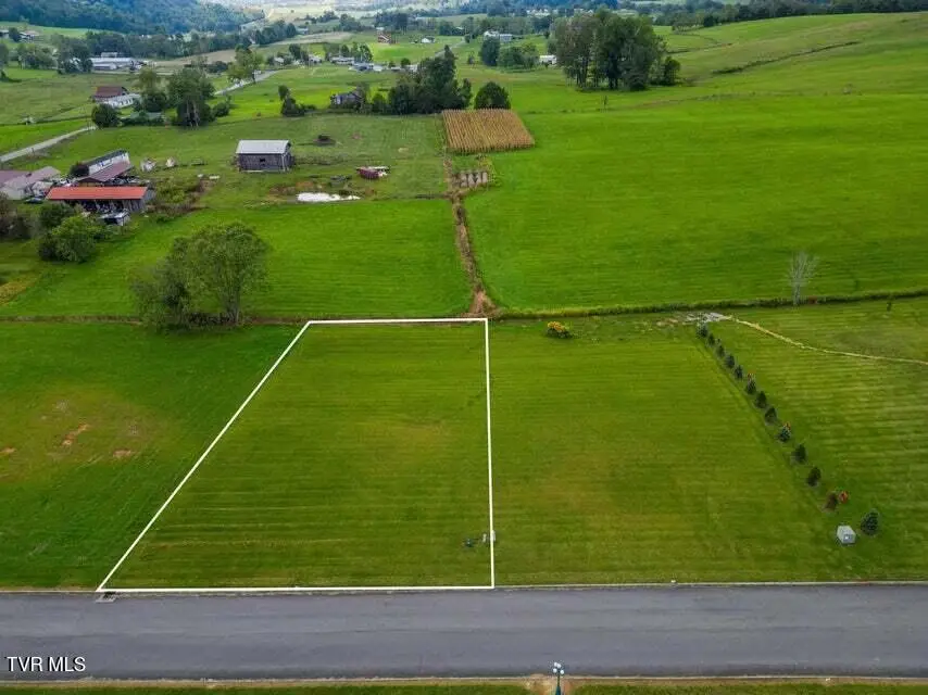 Lot 43 Walnut Grove Drive, Church Hill, TN 37642 - #3