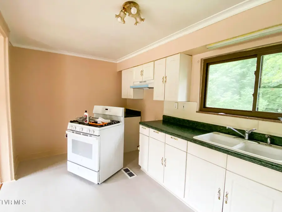 1166 Lake Drive, Dandridge, TN 37725 - #3