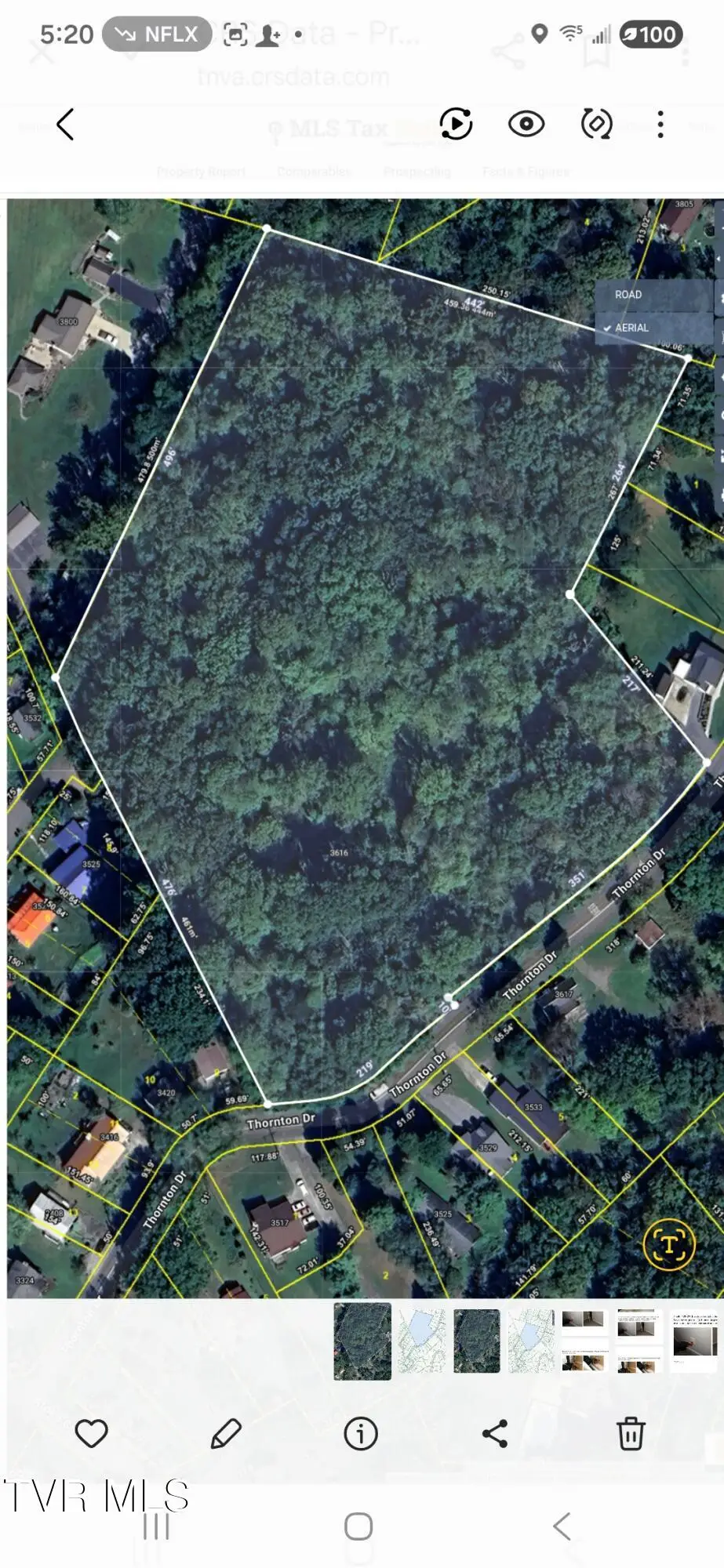 3616 Thornton Drive, Kingsport, TN 37664 - #1