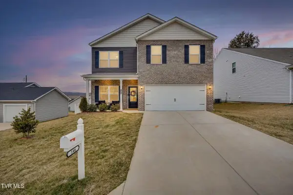 146 Thistle Drive, Bluff City, TN 37618