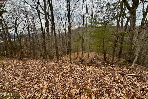 7/Ac Pinnacle Point #Lot 219, Mooresburg, TN 37811