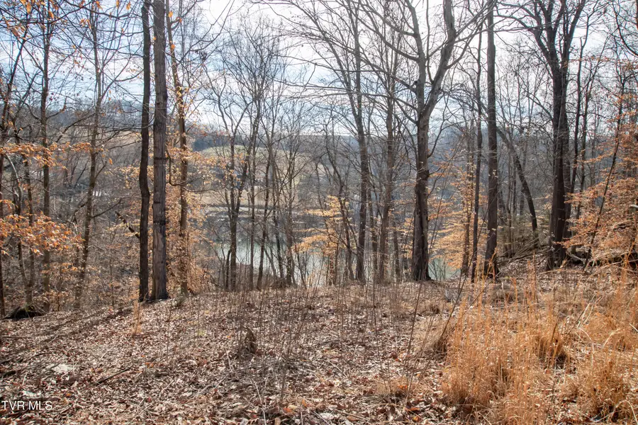 101 Pointe Drive, Piney Flats, TN 37686 - #3