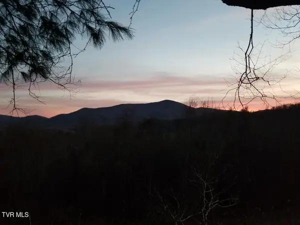 Tbd Bear Branch Road, Roan Mountain, TN 37687