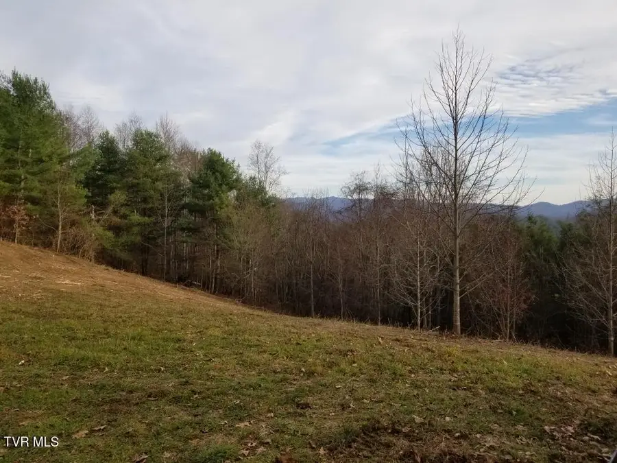 Tbd Bear Branch Road, Roan Mountain, TN 37687 - #3