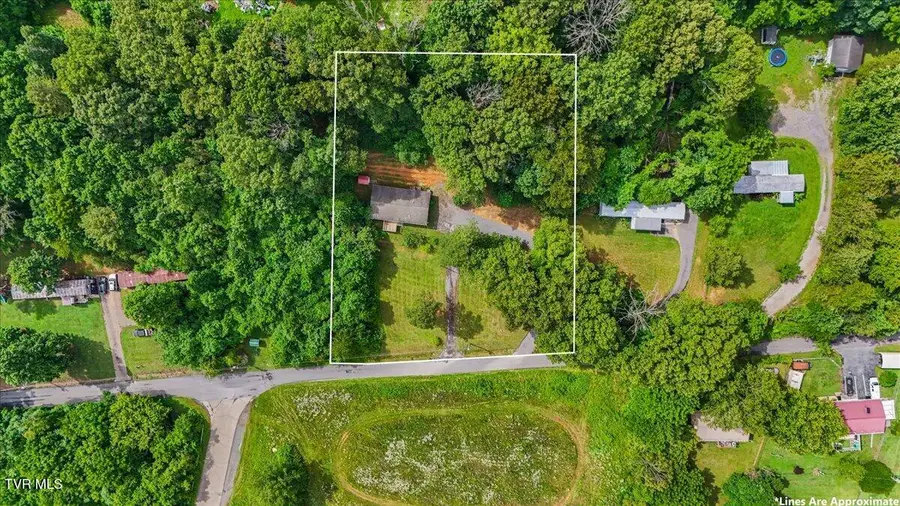 261 Long Hollow Road, Rogersville, TN 37857 - #2