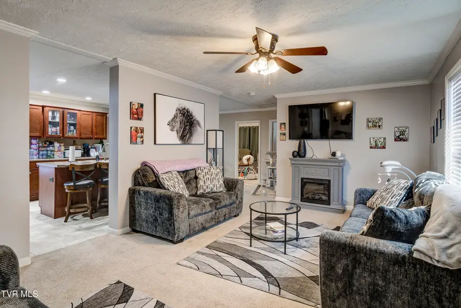 918 Hopson Street, Johnson City, TN 37601 - #2