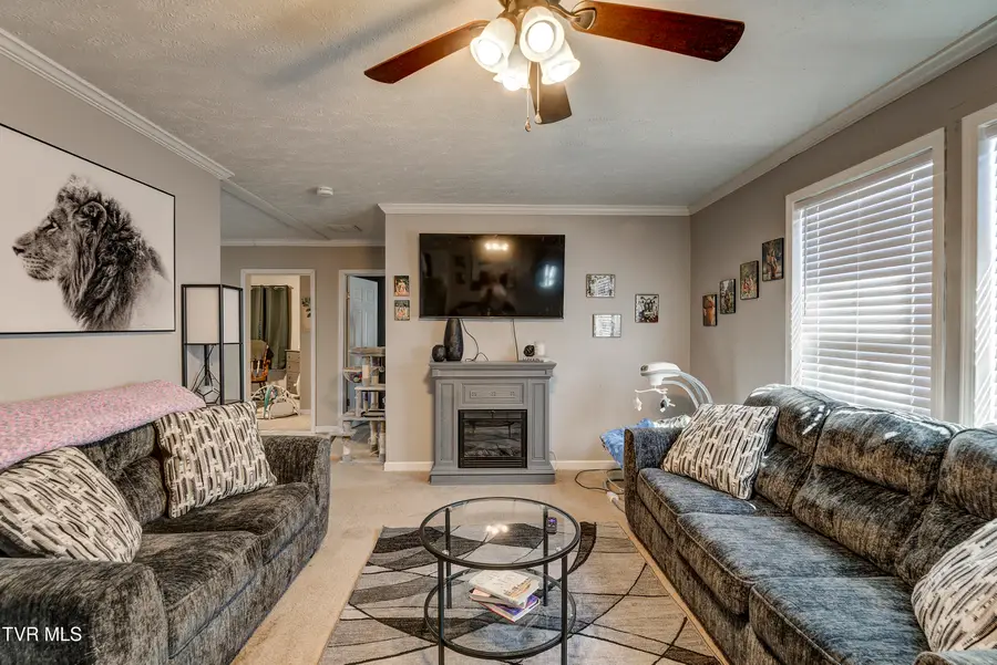 918 Hopson Street, Johnson City, TN 37601 - #3