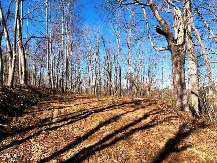 Tbd Vilas Overlook Drive, Vilas, NC 28692 - #2