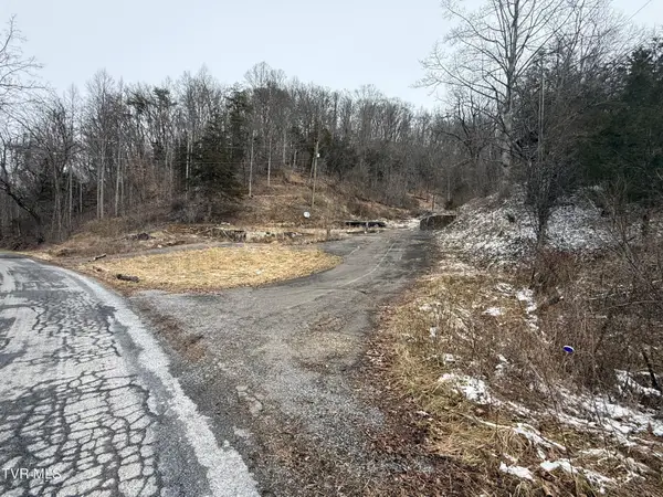 29188 Chestnut Ridge Road, Meadowview, VA 24361