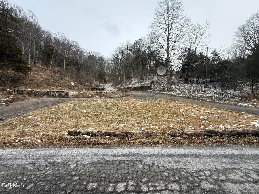 29188 Chestnut Ridge Road, Meadowview, VA 24361 - #2