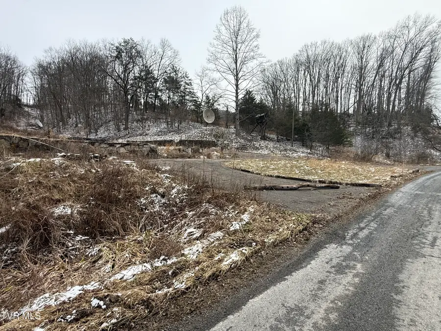 29188 Chestnut Ridge Road, Meadowview, VA 24361 - #3