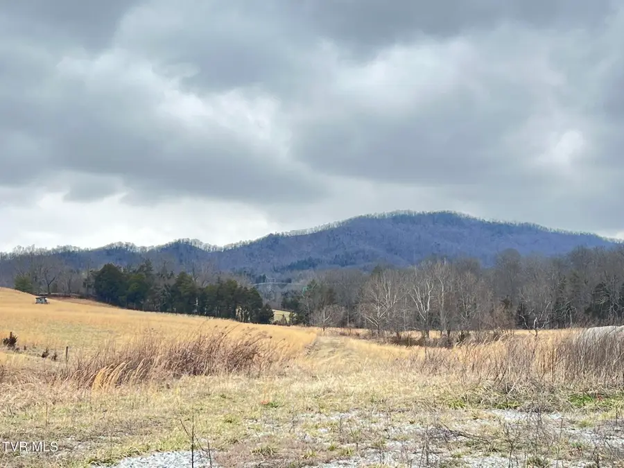 Tbd Brake Tree Lane, Greeneville, TN 37745 - #2