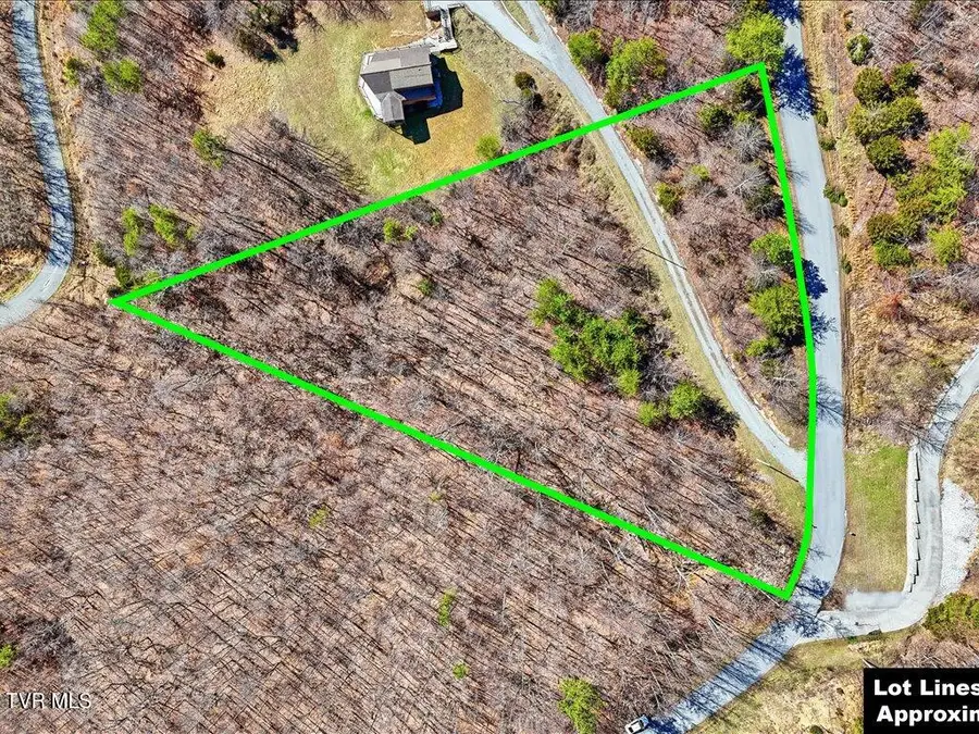 Lot 717 Whistle Valley Road, New Tazewell, TN 37825 - #3