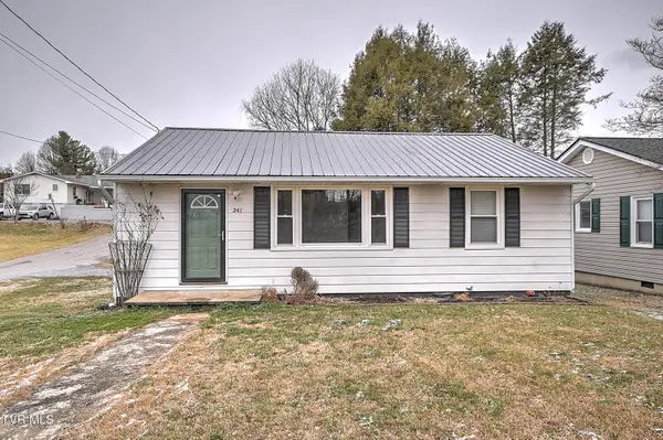 241 Anderson Street, Blountville, TN 37617
