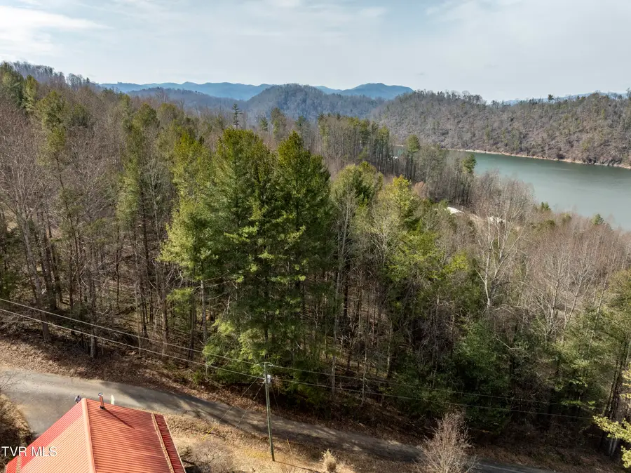 Tbd Norris Road, Butler, TN 37640 - #3