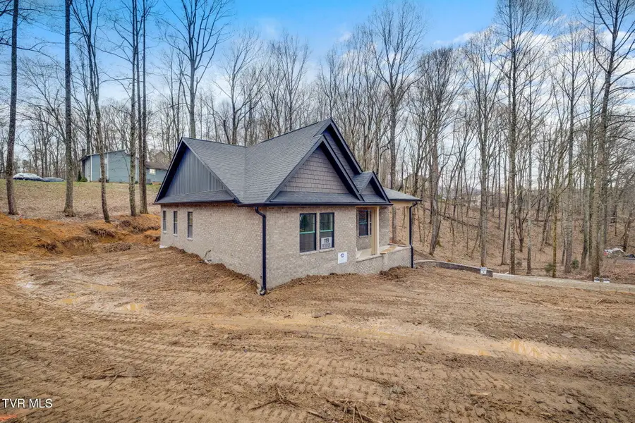 119 Victor Drive, Johnson City, TN 37601 - #3